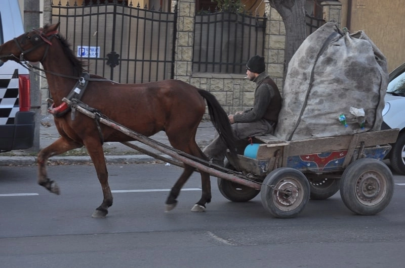 reguli-de-circulatie-pentru-carutasi
