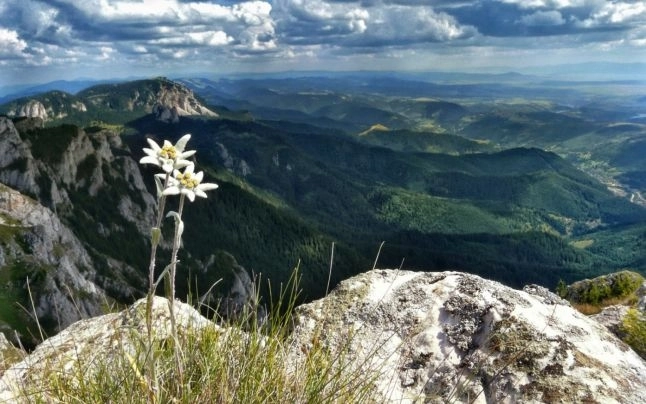 romania-neimblanzita