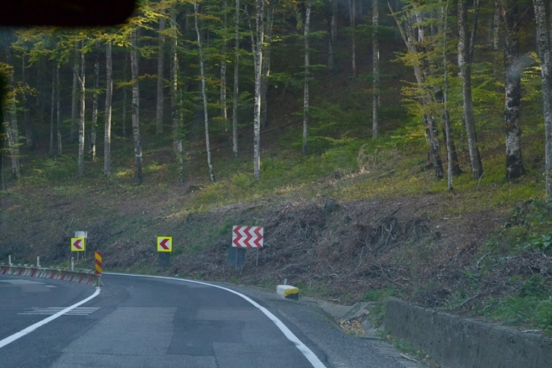 separatoare-de-sens-din-plastic-pe-segmentul-fiserbunesti