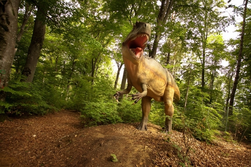 un-milion-de-vizitatori-in-trei-ani-la-dino-parc-