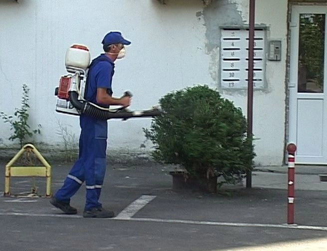 vor-fi-efectuate-noi-servicii-de-dezinsectie-in-oras