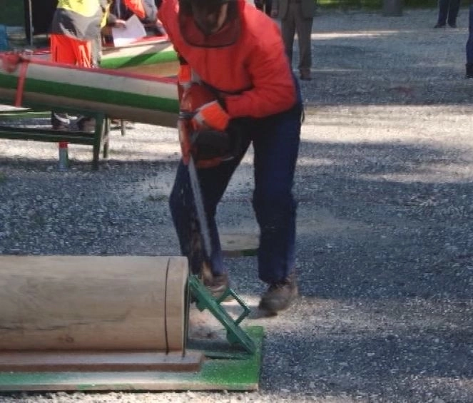 ziua-forestierului-in-poiana-brasov