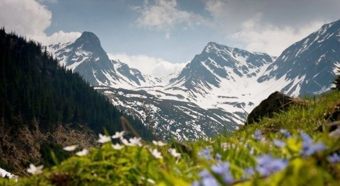 -brasovenii-pot-dona-carti-pentru-montaniarzi-la-sediul-bibliotecii-judetene