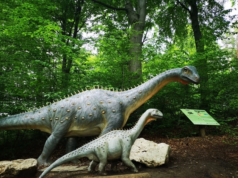 -festivalul-dinozaurilor-dino-fest-la-rasnov-in-minivacanta-de-rusalii