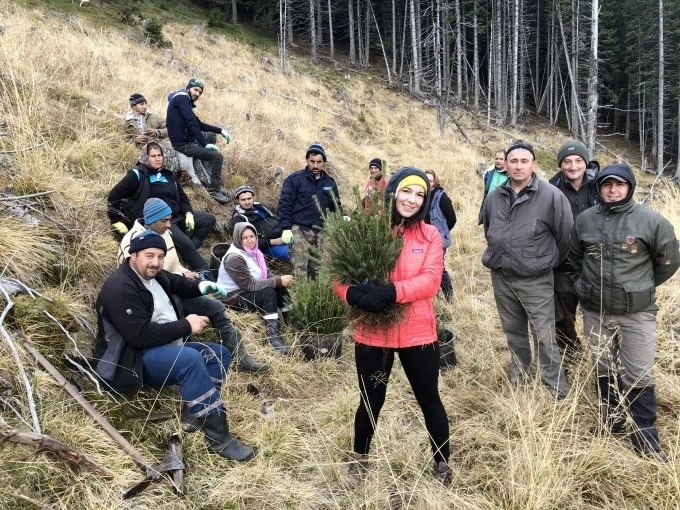 -o-romanca-plecata-in-anglia-a-plantat-15000-de-copaci-in-muntii-fagaras