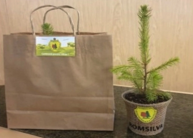 a-inceput-campania-un-copil-un-bradut-o-prietenie-pe-viata