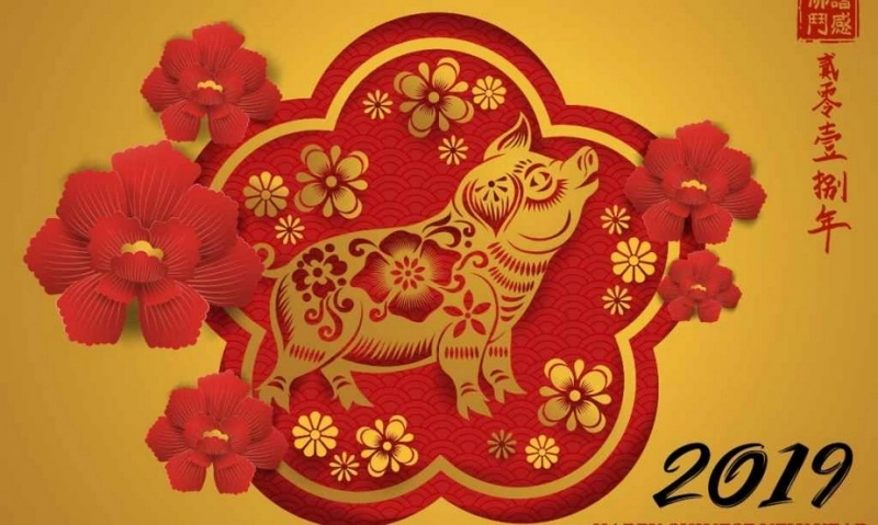 a-inceput-un-an-nou-chinezesc