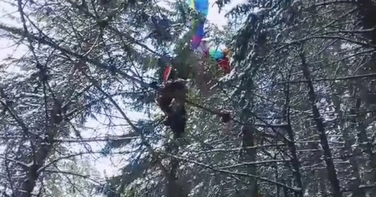 a-ramas-agatat-cu-parapanta-in-copac-la-10-metri-inaltime