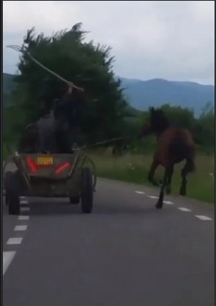 amendati-pentru-ca-au-lovit-calul-cu-o-furca