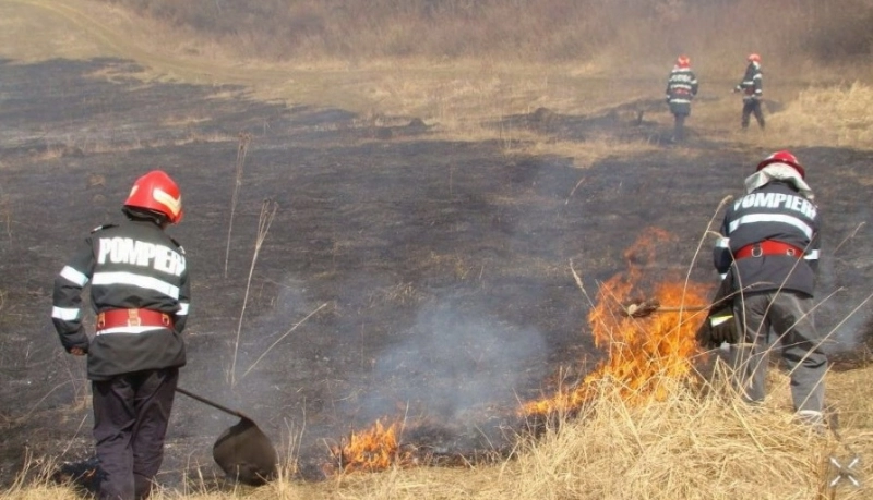 amenzi-de-pana-la-50000-de-lei-pentru-cei-care-dau-foc-la-miristi
