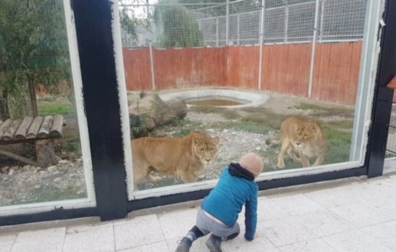 apel-de-la-conducerea-zoo-brasov-pentru-vizitatorii-insistenti