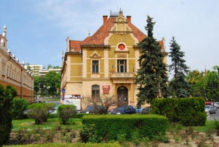 brasovul-ar-putea-avea-o-statuie-a-reginei-maria