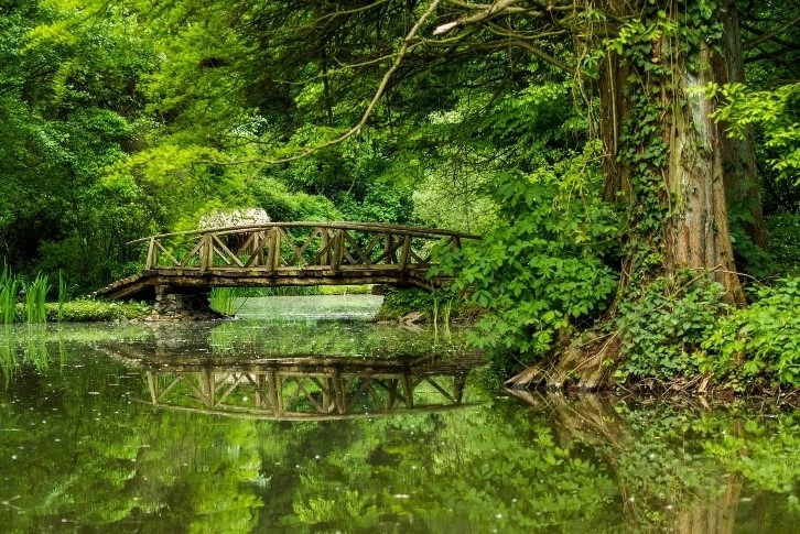 brasovul-va-avea-un-impresionant-parc-dendrologic-in-cartierul-noua
