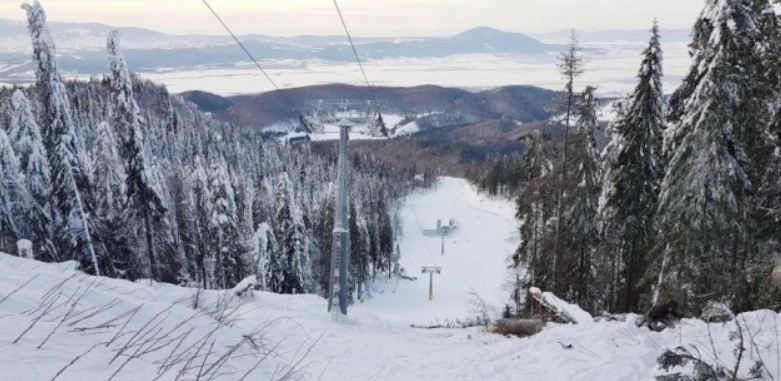 brazi-taiati-pentru-a-elibera-culoarul-telescaunului-ruia