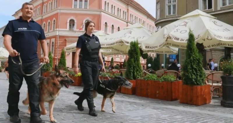 cainii-politisti-vor-insoti-patrulele-pe-strazile-din-brasov