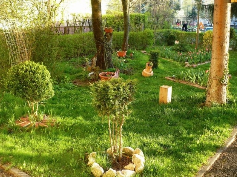 campania-cea-mai-frumoasa-gradina-din-cartierul-tau-la-brasov-