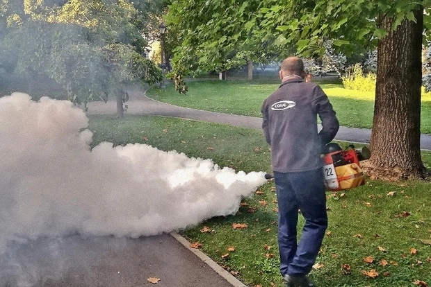 campanie-de-dezinsectie-la-brasov-prioritate-o-au-parcurile-si-zonele-de-agrement