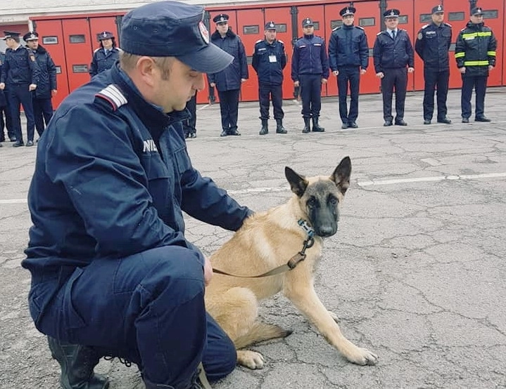 catelusa-kara-cel-mai-proaspat-angajat-al-isu-brasov