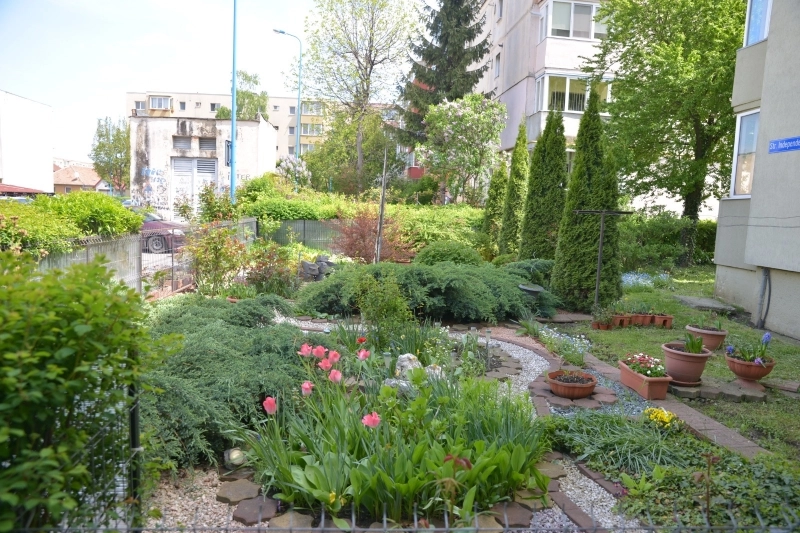 cele-mai-frumoase-gradini-din-brasov-premiate