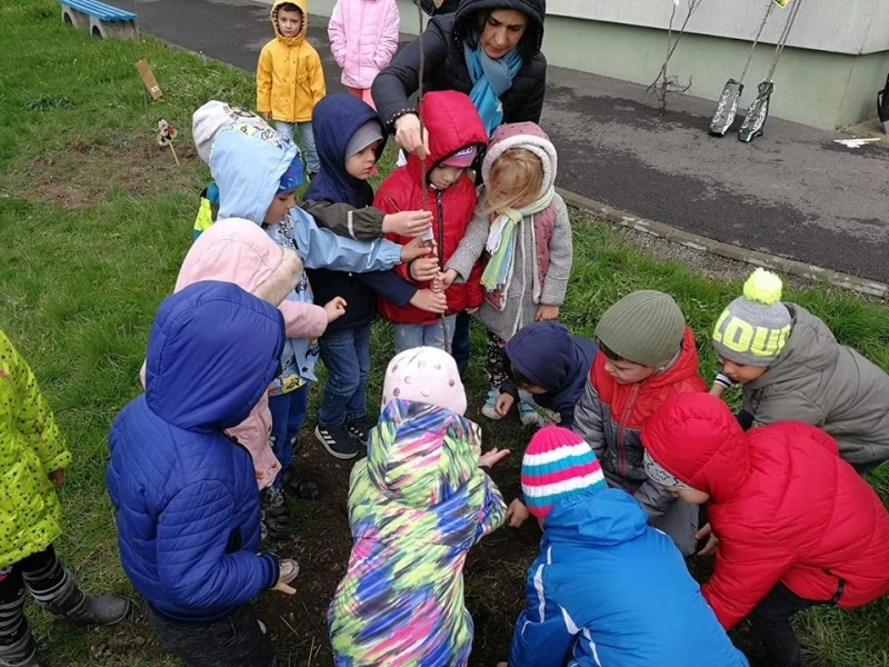 copiii-de-la-gradinita-nr-11-pe-taramul-verde-al-bucuriei