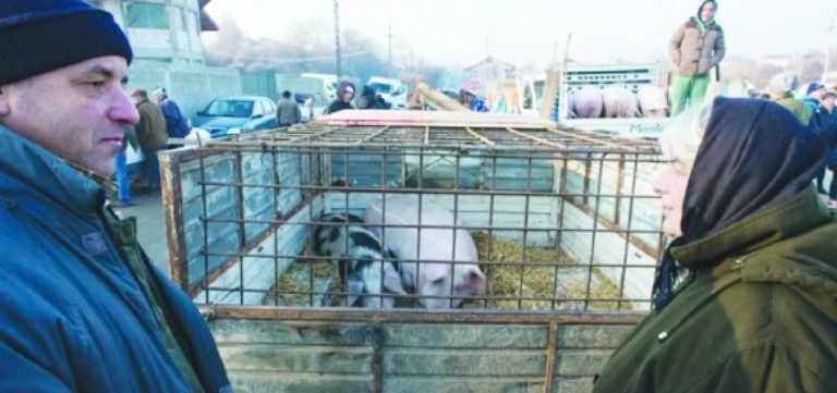 craciun-fara-targ-de-animale