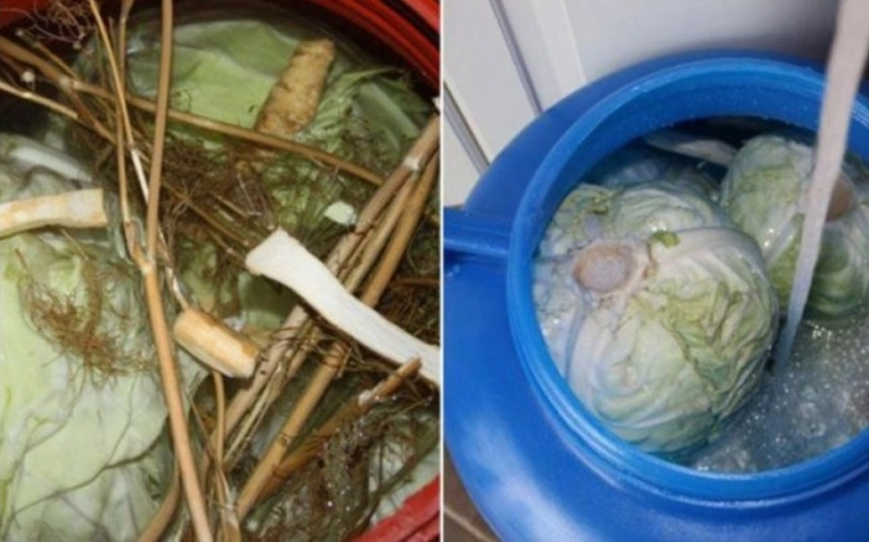 cum-se-pune-varza-la-murat-reteta-pe-care-trebuie-sa-incerce-orice-gospodina