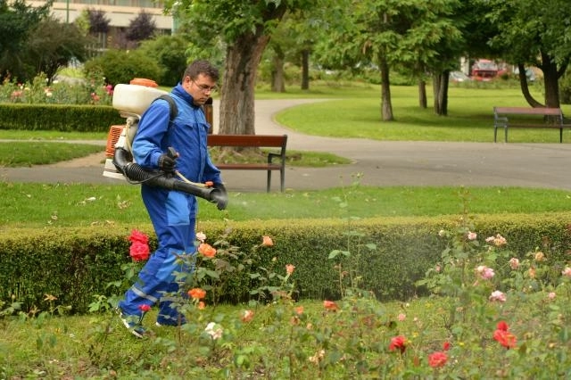 de-luni-porneste-o-noua-campanie-de-dezinsectie-si-deratizare-in-brasov
