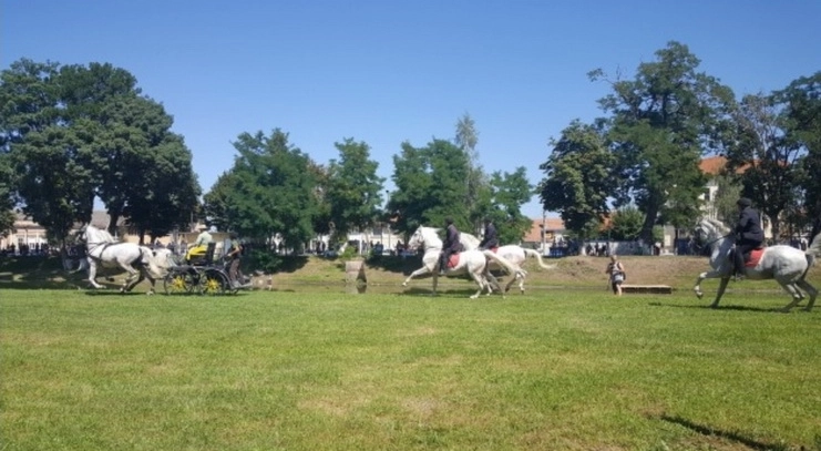 demonstratie-spectaculoasa-a-cailor-de-la-sambata-la-cetatea-fagarasului