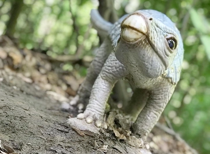 dinozaurii-de-la-dino-parc-rasnov-ii-invita-pe-copii-la-joaca-de-ziua-lor