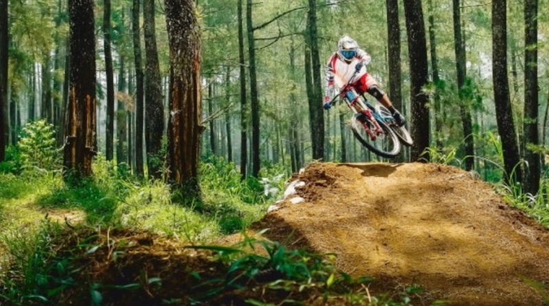 fondul-forestier-din-poiana-brasov-va-deveni-padure-parc