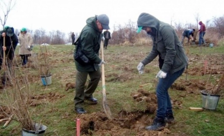 garda-forestiera-va-impaduri-peste-100-de-hectare-de-teren-la-tarlungeni