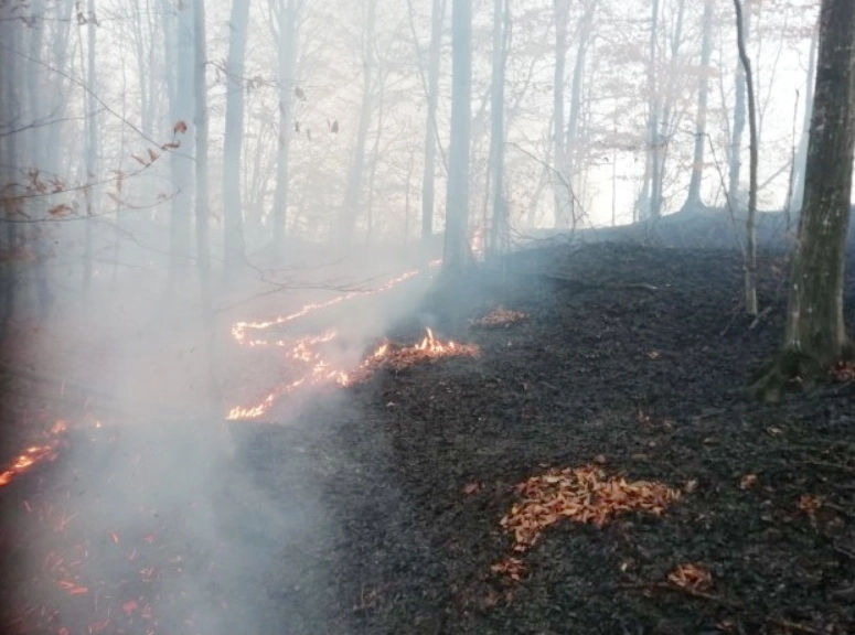 incendiu-de-vegetatie-pe-10-hectare-la-vladeni-dumbravita