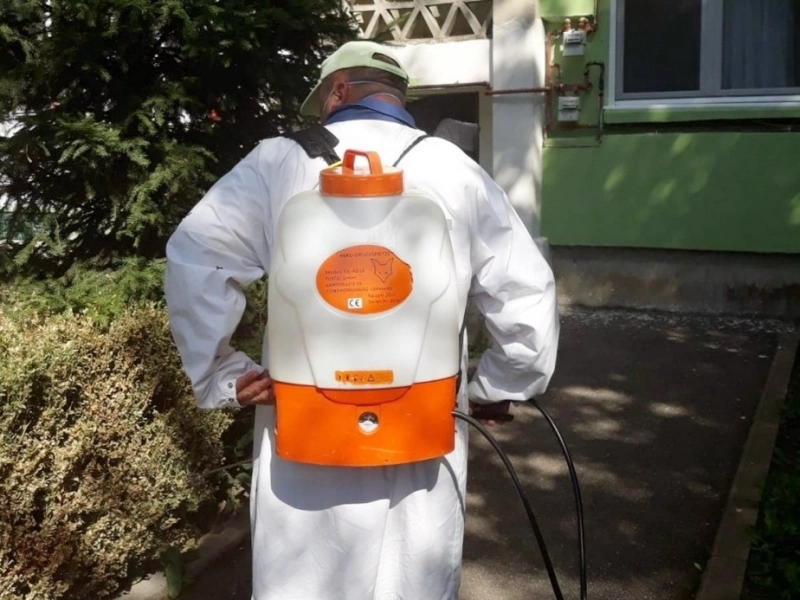 invazie-de-omizi-paroase-la-fagaras-primaria-cere-sprijinul-cetatenilor-pentru-identificarea-celor-mai-afectate-zone