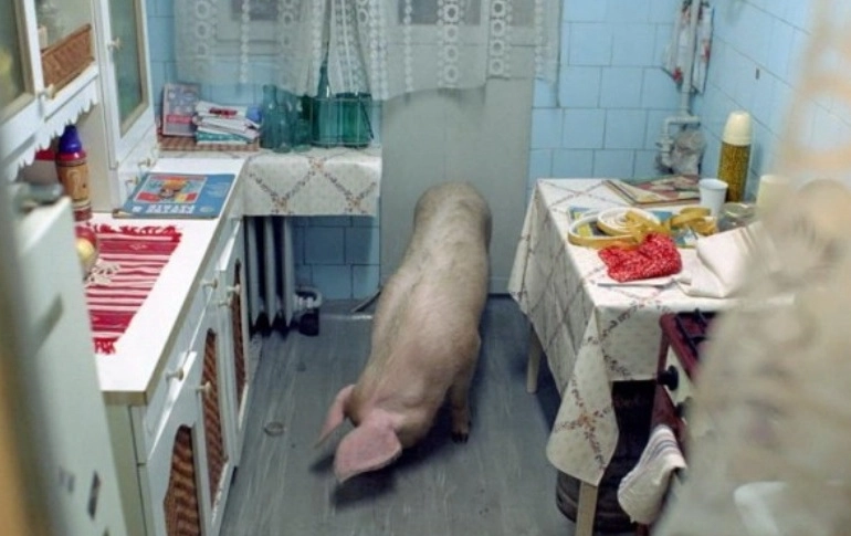 libertate-fara-ziduri-in-proiectie-de-filme-la-rasnov