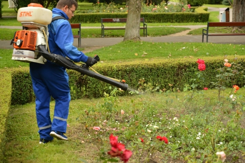 o-noua-batalie-impotriva-tantarilor-a-inceput-cea-dea-doua-etapa-a-campaniei-de-dezinsectie