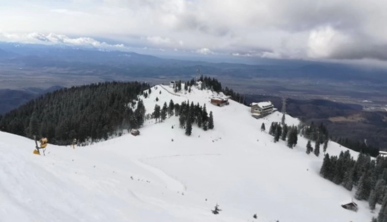 partia-lupului-inchisa-temporar-din-cauza-caldurii