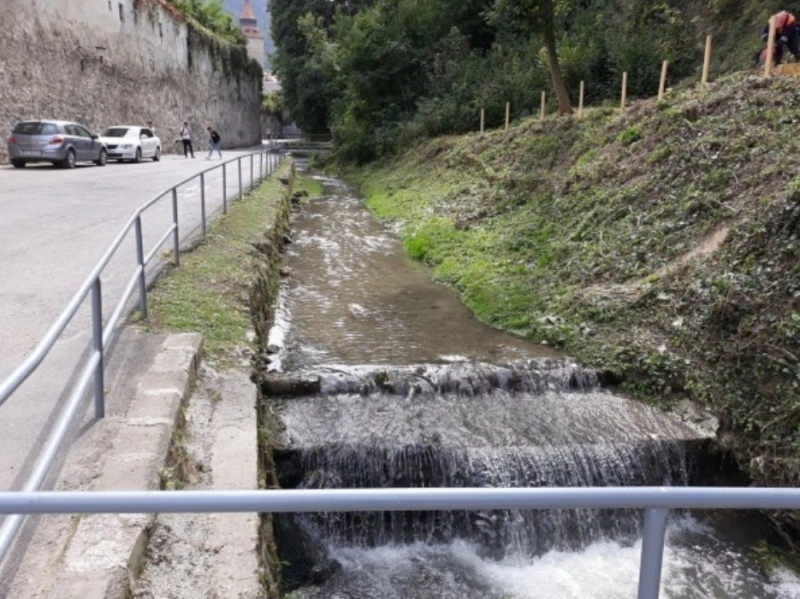 planuri-pentru-a-se-scapa-de-mirosurile-neplacute-de-dupa-ziduri