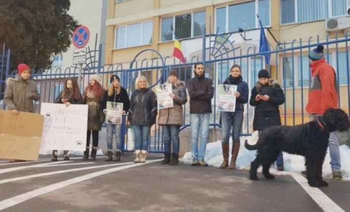 politia-nul-poate-retine-pe-ucigasul-de-caini-protest-la-ipj-in-urma-anuntului