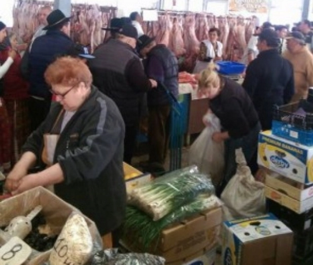 proiect-inedit-la-fagaras-gatesc-din-piata-direct-in-piata