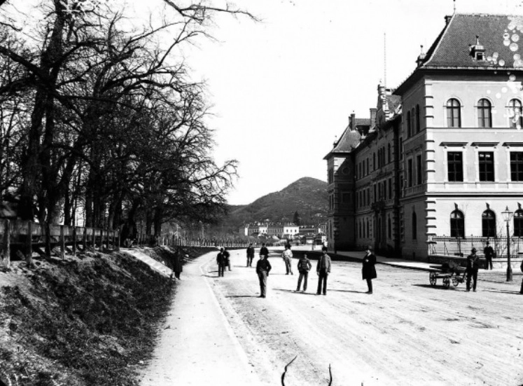 sezatoare-la-150-de-ani-de-mesota