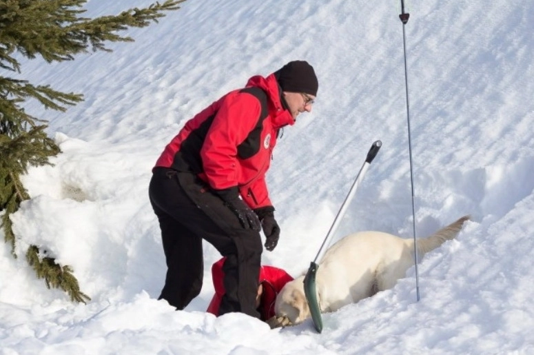 stagiul-national-de-formare-pentru-cainii-de-avalansa