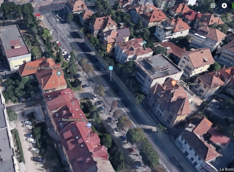 timp-de-o-luna-vor-fi-lucrari-pe-strada-castanilor