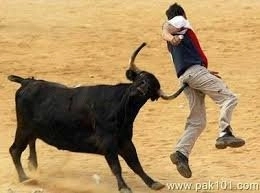 un-barbat-a-ajuns-la-spital-dupa-ce-a-fost-atacat-de-un-taur