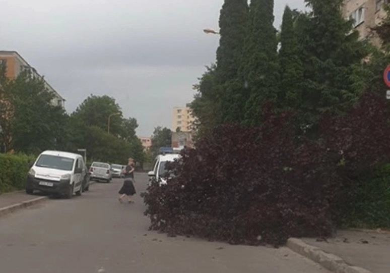 vijeliile-au-creat-probleme-si-in-judetul-brasov