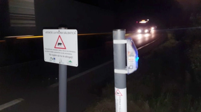 -gard-sonor-si-luminos-pe-marginea-dn1-pentru-avertizarea-animalelor-salbatice