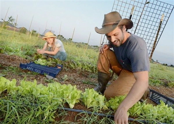 50-de-hectare-de-la-stat-pentru-tinerii-fermieri