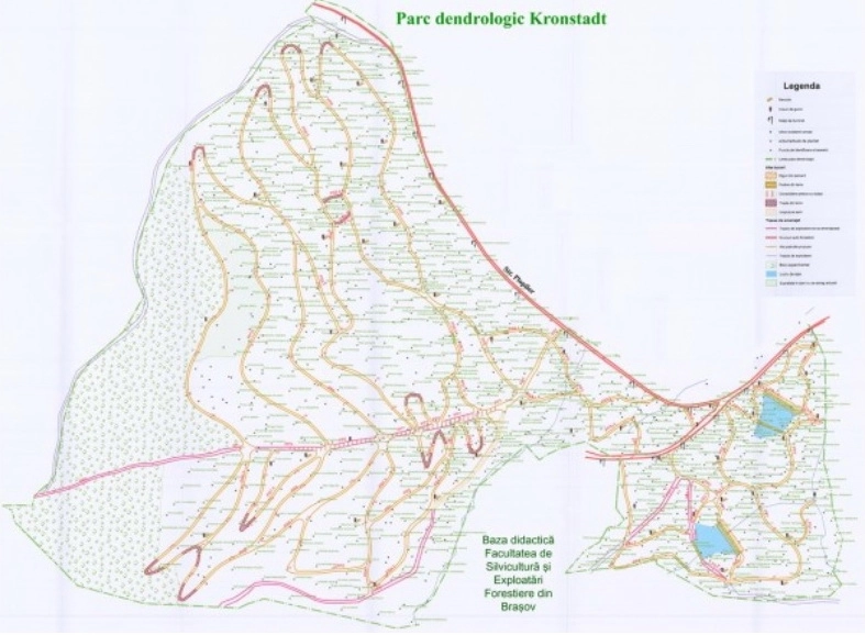 brasovenii-invitati-sa-participe-la-plantarile-din-parcul-dendrologic-kronstadt