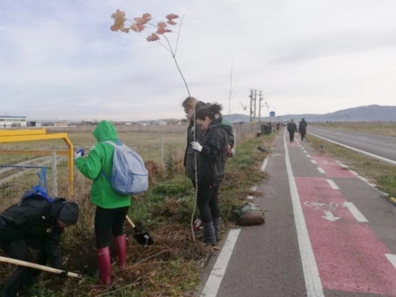 brasovul-va-avea-o-centura-verde