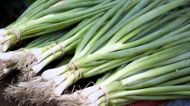 camera-de-comert-interfata-intre-producatorii-de-legume-si-hipermarketuri