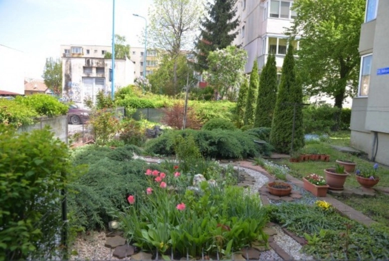 debuteaza-competitia-pentru-cea-mai-frumoasa-gradina-din-brasov